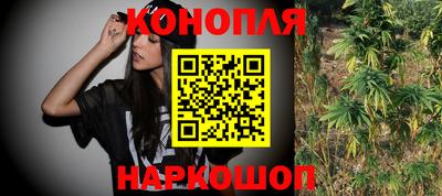 прущие грибы Беслан
