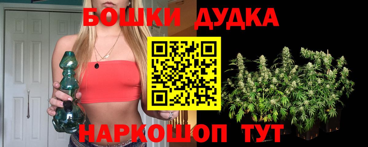 Каннабис план  Вход с VPN  Каннабис OG Kush  Шишки марихуана ГИДРОПОН  Качканар  Марихуана LSD WEED 